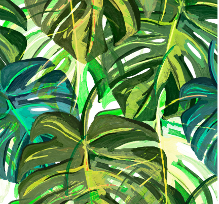 Botanical illustration